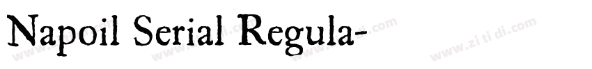 Napoil Serial Regula字体转换